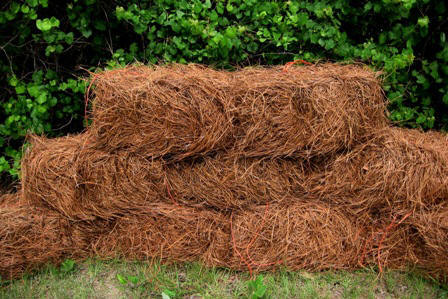 bales mulch dunwoody lacrosse aiguilles acidify retaining