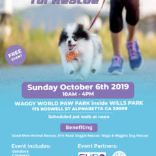 2nd Annual Walk and Roll for Rescue