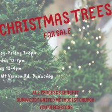 Christmas Trees for Sale!