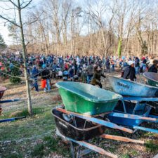 Dunwoody to celebrate Georgia Arbor Day with tree plantings and a seedlings sale