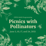 OWLS Adult Programming: Picnics With Pollinators