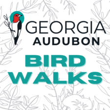 Georgia Audubon Society Bird Walk at Dunwoody Nature Center
