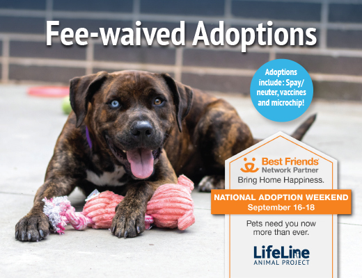 Best Friends National FREE Pet Adoption Weekend