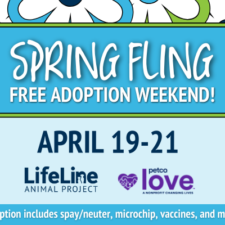 LifeLine Petco Love Spring Fling FREE Adoption Weekend