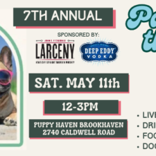 Party for the PAWS 2024